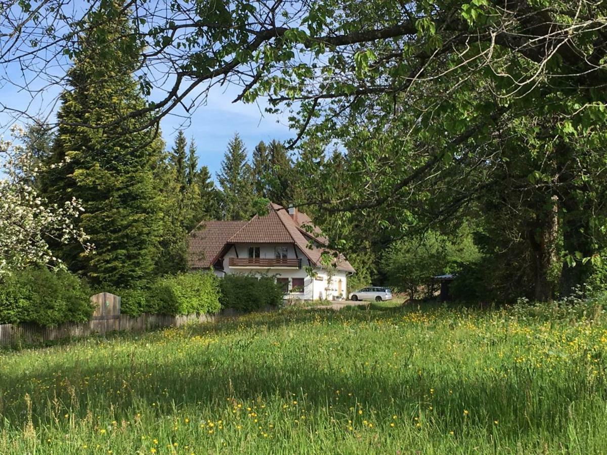 B & B Der Waldvogel Herrischried Экстерьер фото